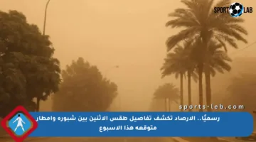 رسميًا.. الأرصاد تكشف تفاصيل طقس الإثنين بين شبورة وأمطار متوقعة هذا الأسبوع